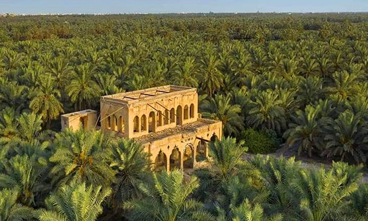 واحة الأحساء السعودية... ستستقبل منتجع صحي تحت ظلال أشجارها العتيقة!